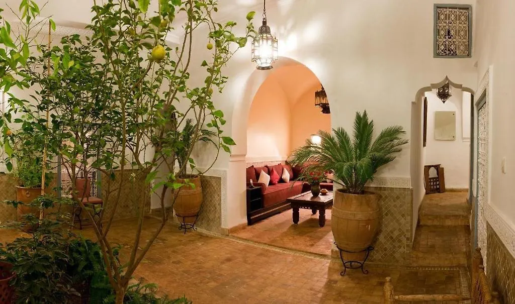 Riad Zohar-1