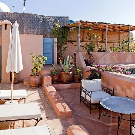 Riad Zohar-3