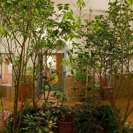 Riad Zohar-2